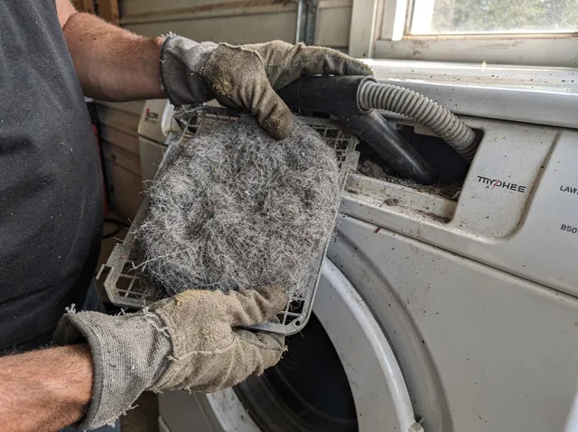 Cleaning Dryer Lint Trap in Somerset
